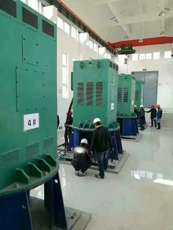 亳州某污水处理厂使用我厂的立式高压电机安装现场